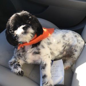 Meet your Posher, Ron